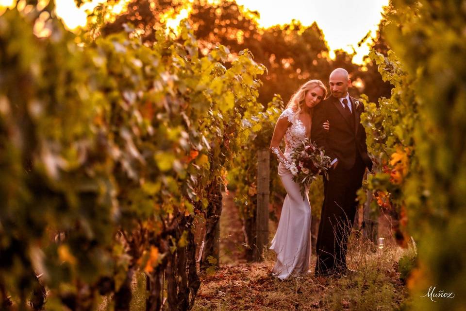 Napa Wedding