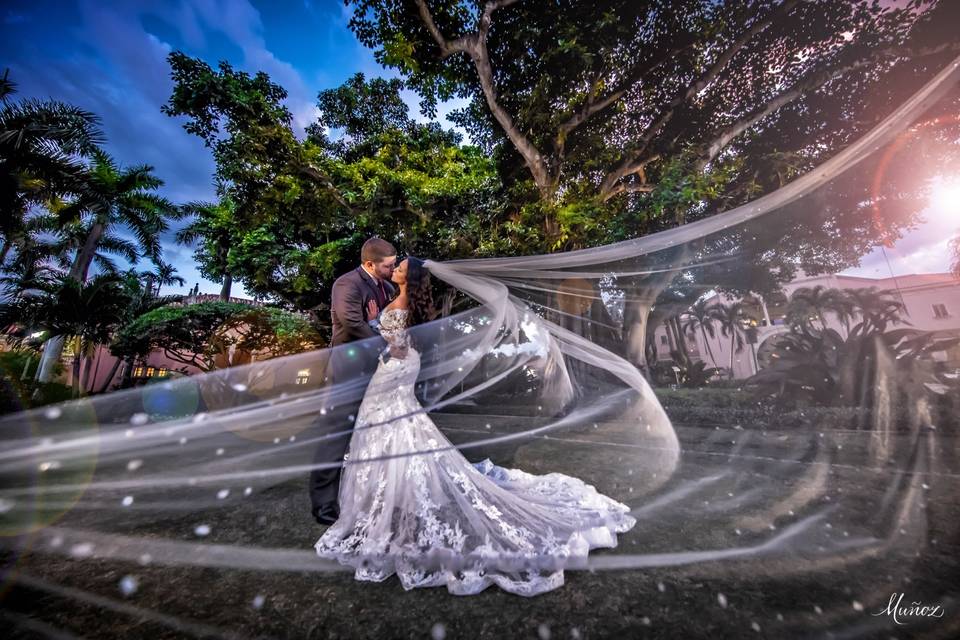 Veil Goals