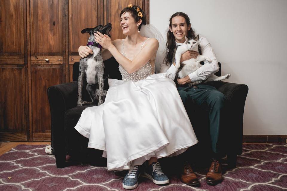 Bride and Groom and Pets