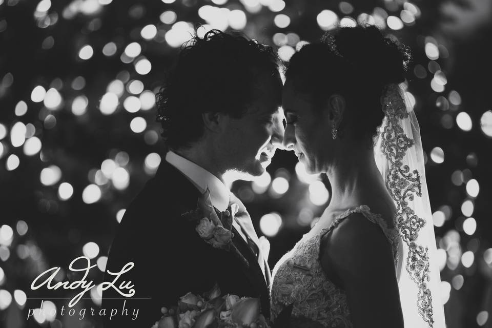 Andy Lu Wedding Photography