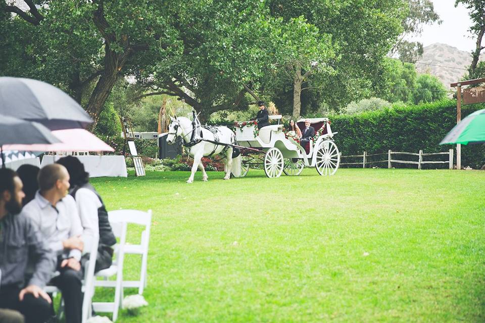 Andy Lu Wedding Photography