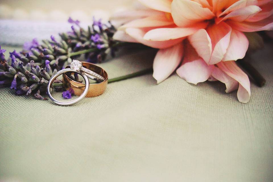 Kristin Boyett Photography