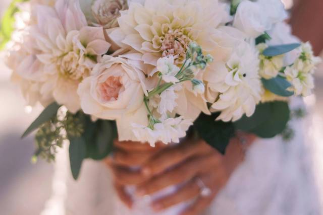 Cecilia HIll Floral Design
