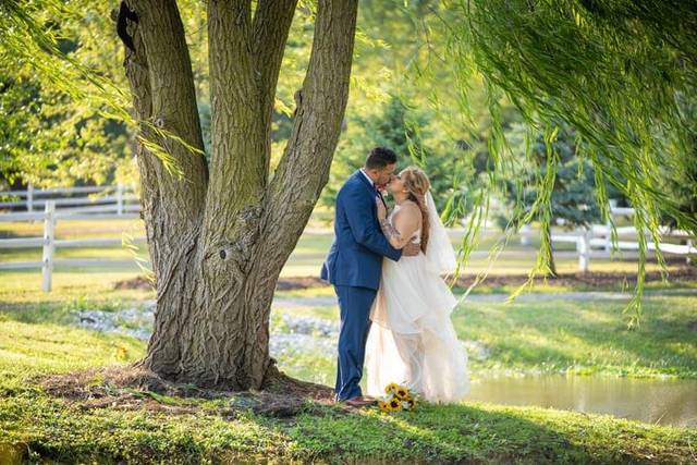 Sonny Acres Farm - Barn & Farm Weddings - West Chicago, IL - WeddingWire