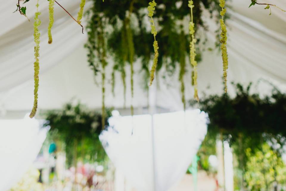 Hanging wreaths