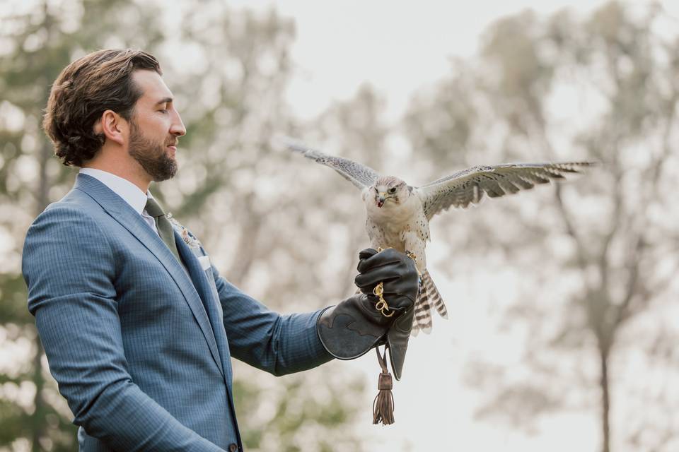 Falcon ring bearer