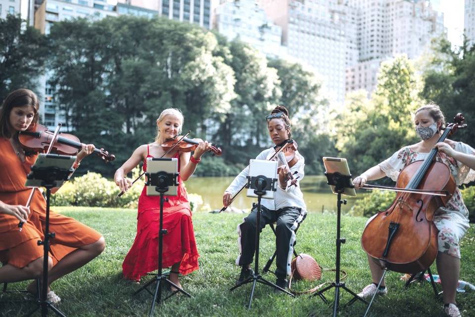 NYC String Quartet