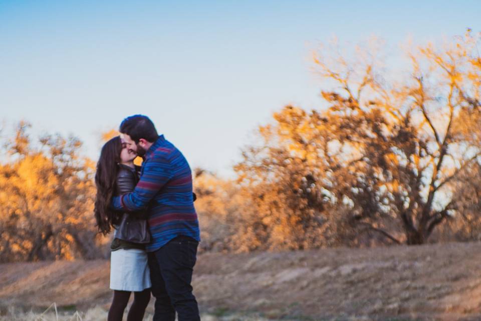 Engagement Photography