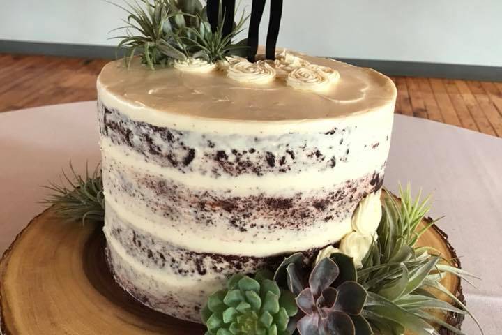 Cake Succulents