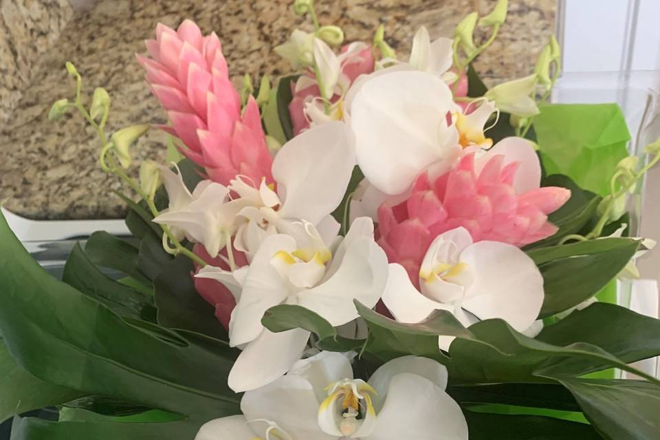 Bride's - White Phals & Ginger