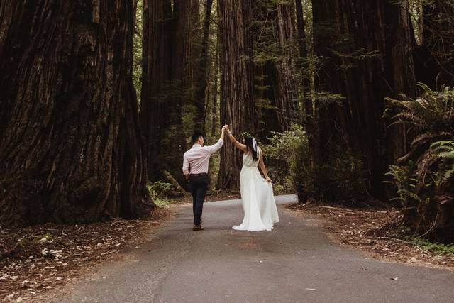 Forest photography