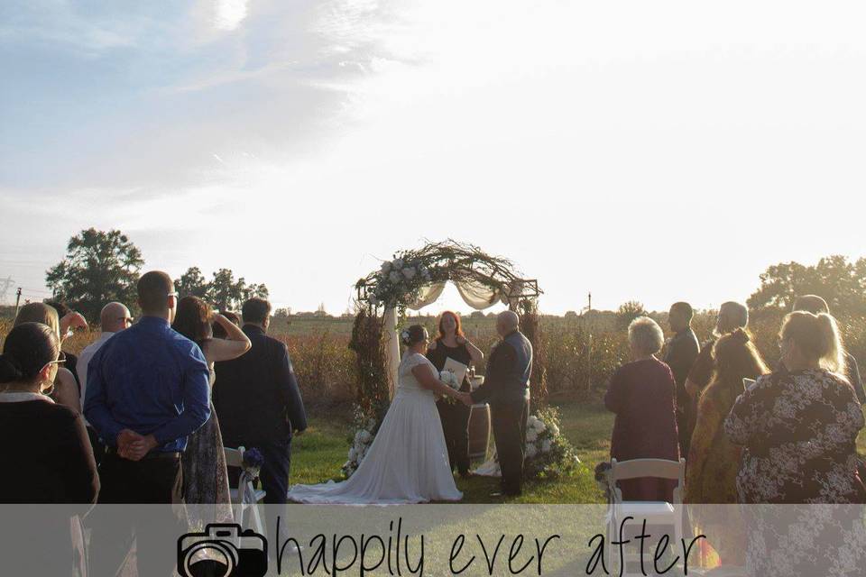 Sunny afternoon wedding