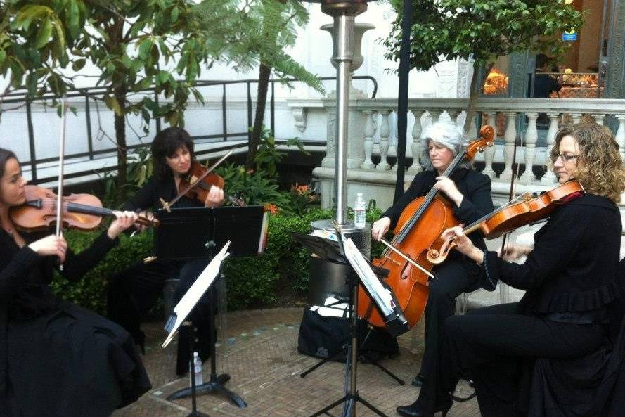 String quartet performing