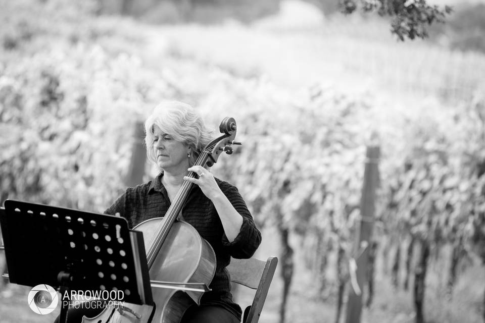 Black and white cellist