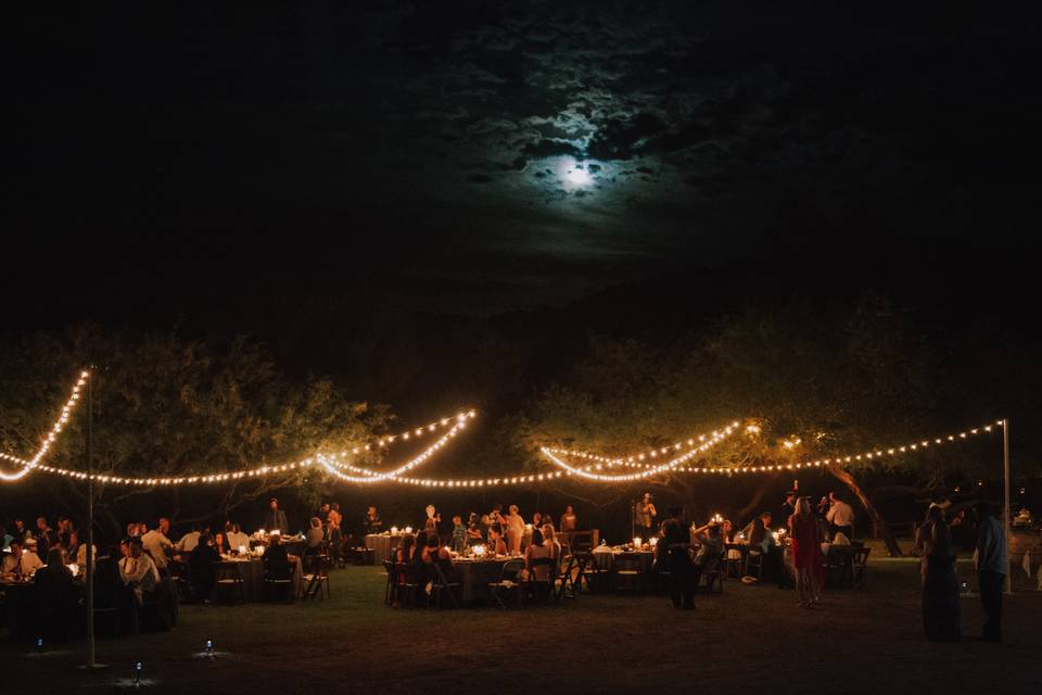 Reception under the moon