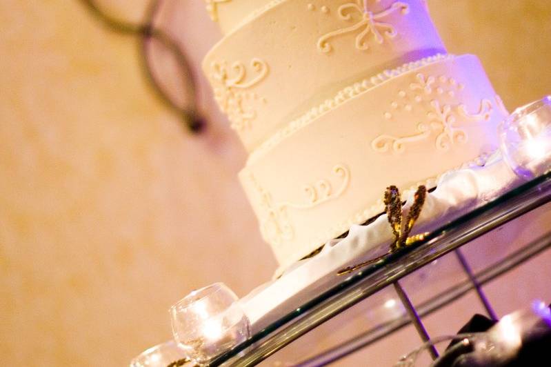 Dragonfly Wedding Cake