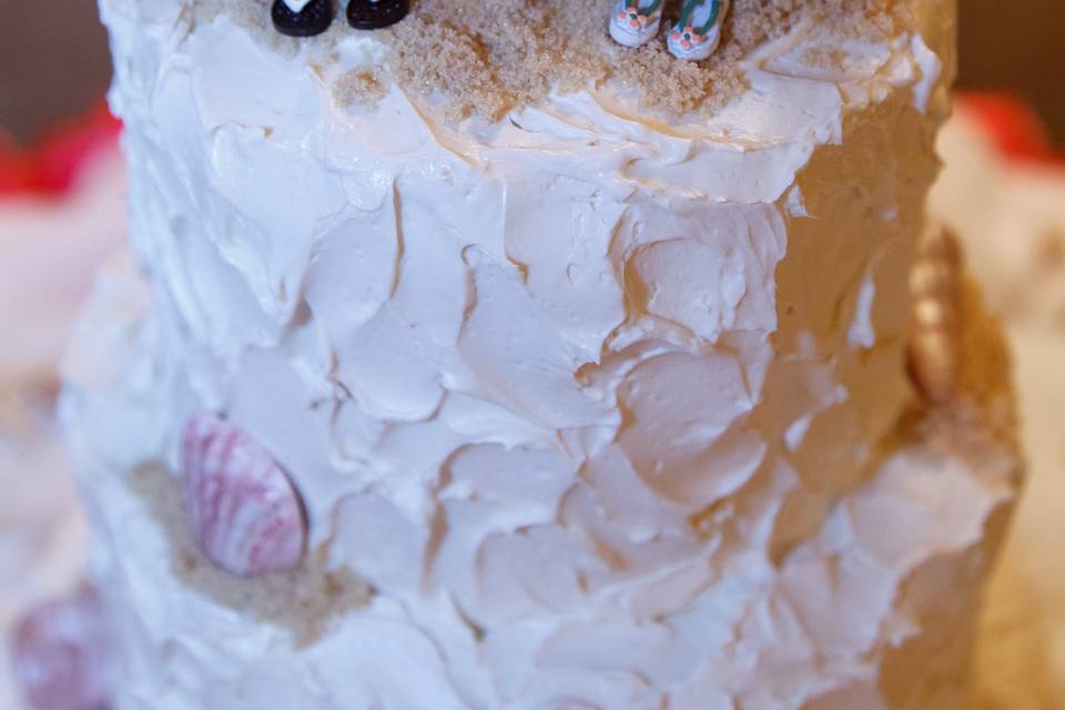 Rustic Beach Wedding CakePhoto by: Princess Anne Photography