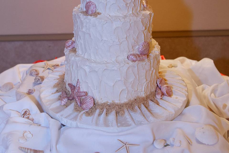 Rustic Beach Wedding CakePhoto by: Princess Anne Photography