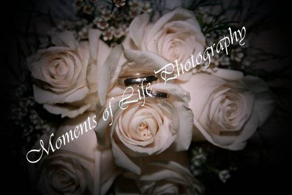 Moments of Life Photography