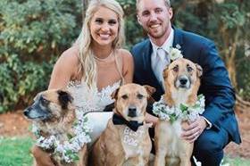 Newlyweds and their dogs