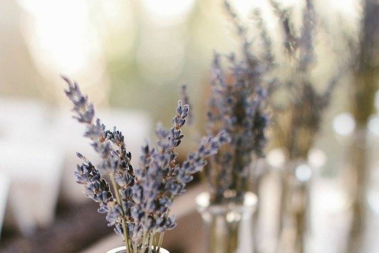 Lavender bottles