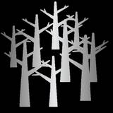 Timbers Staff
