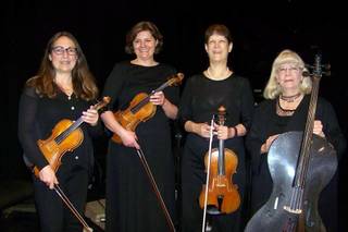 Ptarmigan Classical and Rock String Quartet