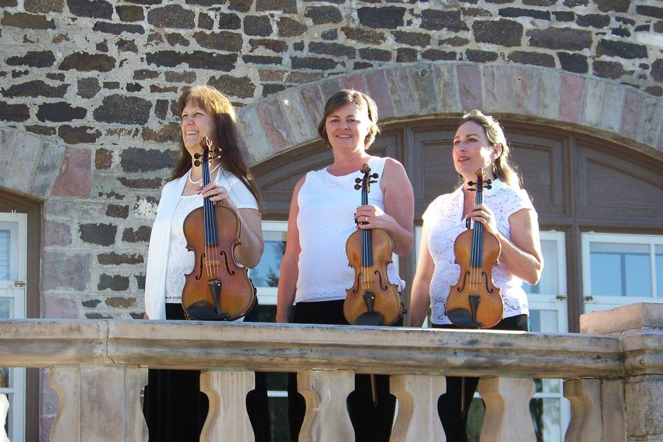 Ptarmigan Classical and Rock String Quartet