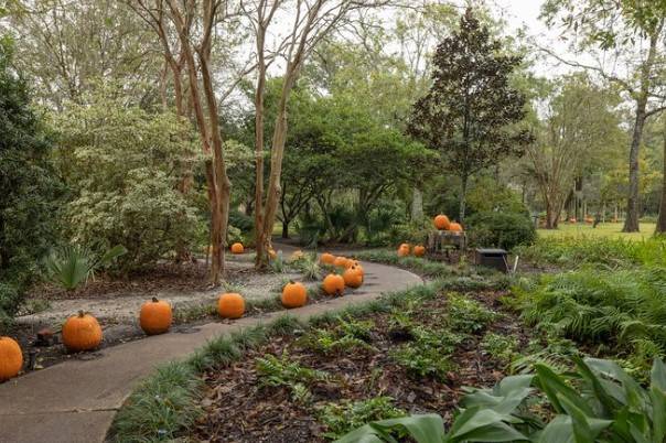October pumpkin path