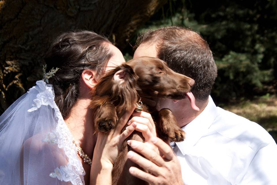 Pets at the ceremony - I Do - PNW wedding photography