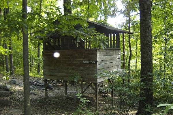 treehouse campground