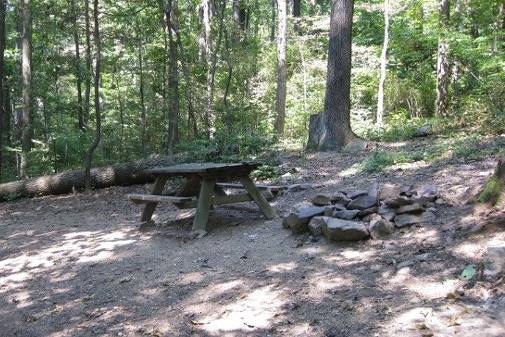 There are 12 wooded tent sites of various shapes and sizes, not too close together...they all have fire circles, grills, and pic-nic tables.  The whole place has very interesting bird-song and lots of crickets, owls, and fire flies at night.