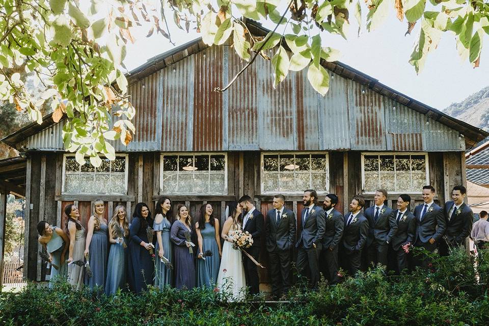 Bridal party photo