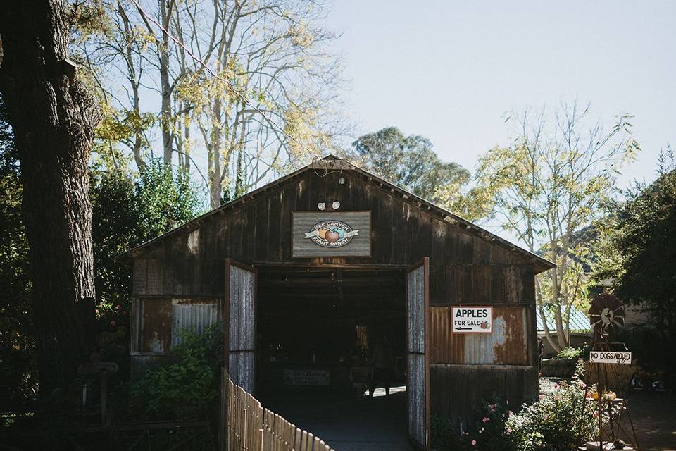 Barn during apple season