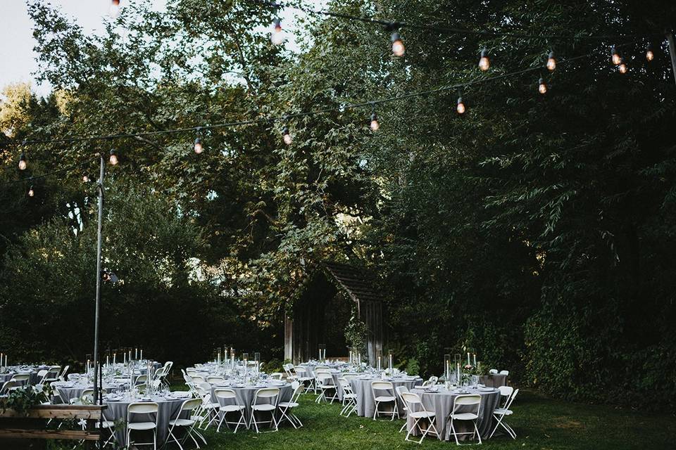 Reception with bistro lights