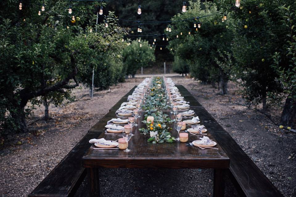 Table in the orchard