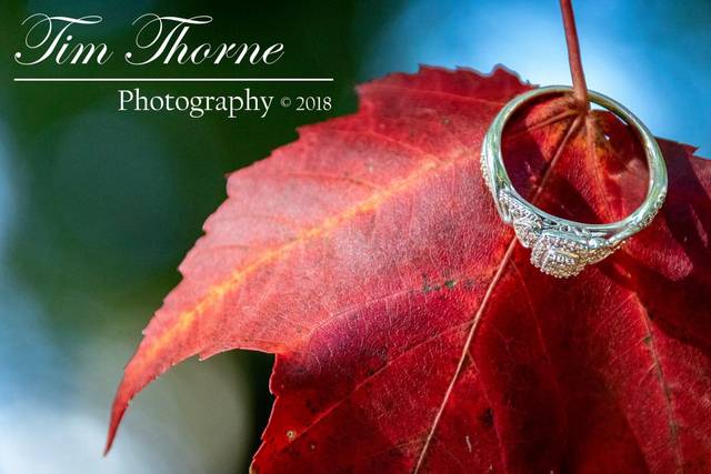 Tim Thorne Photography