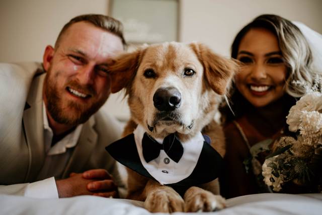 Wedding couple