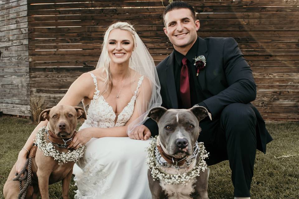 Bride and Groom and Pup!
