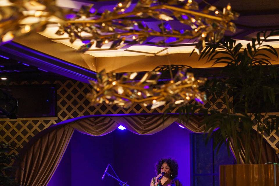 Musician in the Piano Lounge