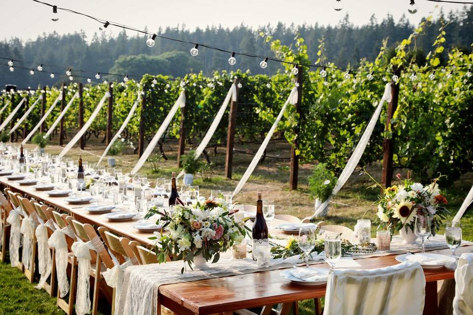 Vineyard wedding