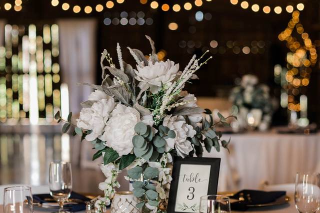 Ehlers reception