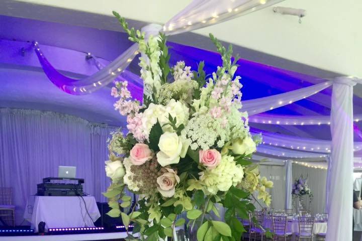 ValerieSpeirEvents