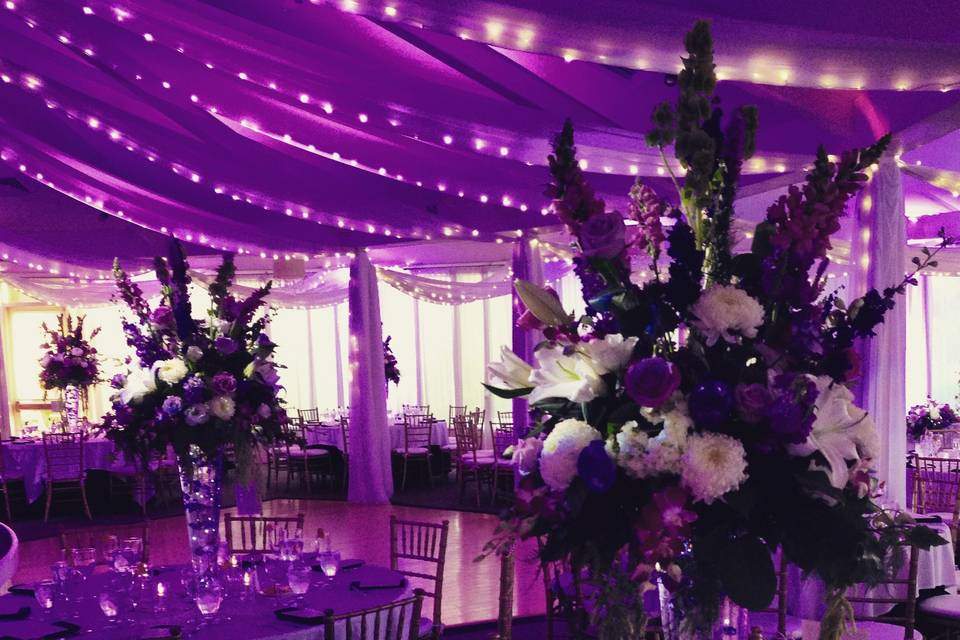 ValerieSpeirEvents