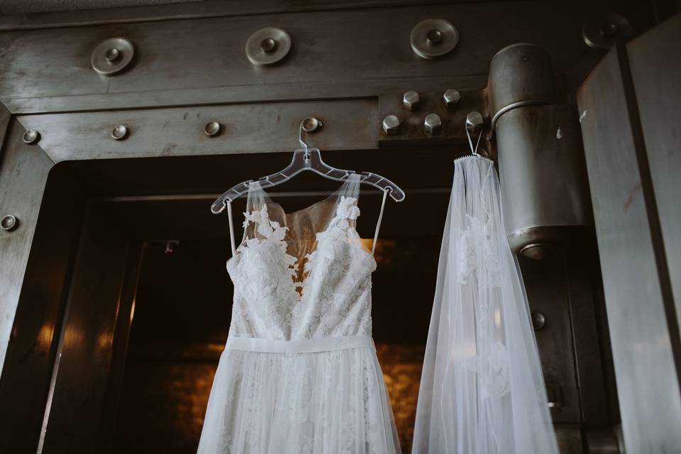 Wedding dress and veil