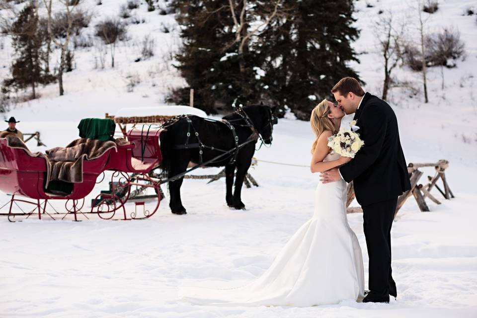 Winter sleigh wedding