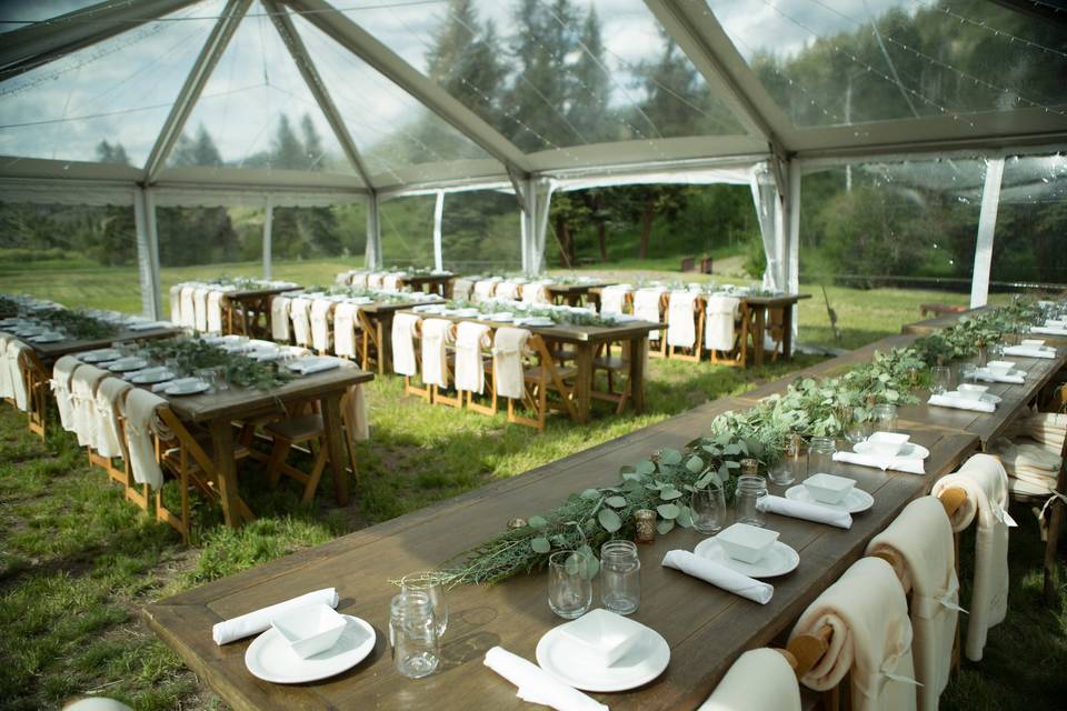 Tent and reception setup