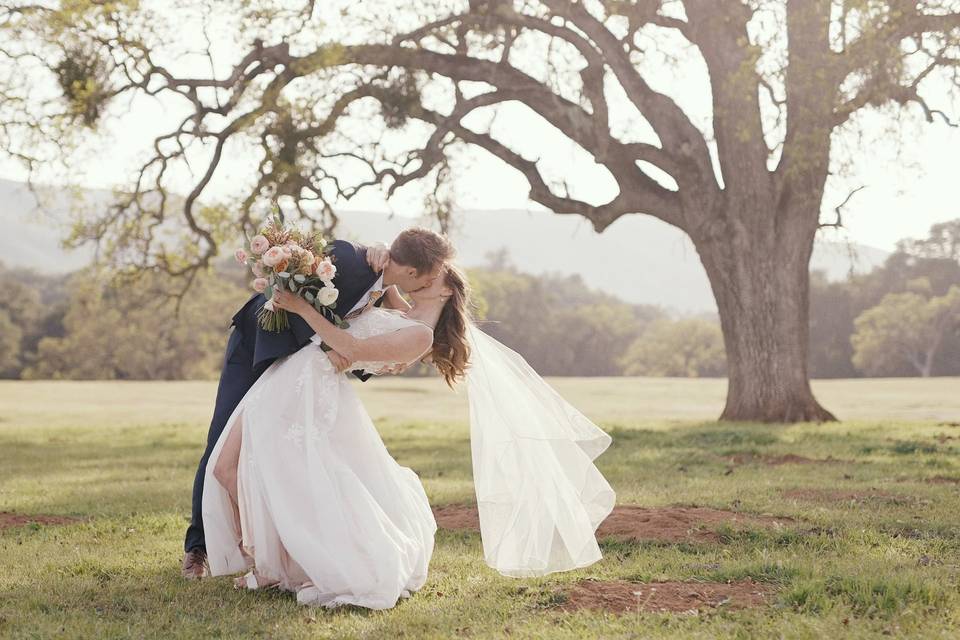 Dan + Shannon