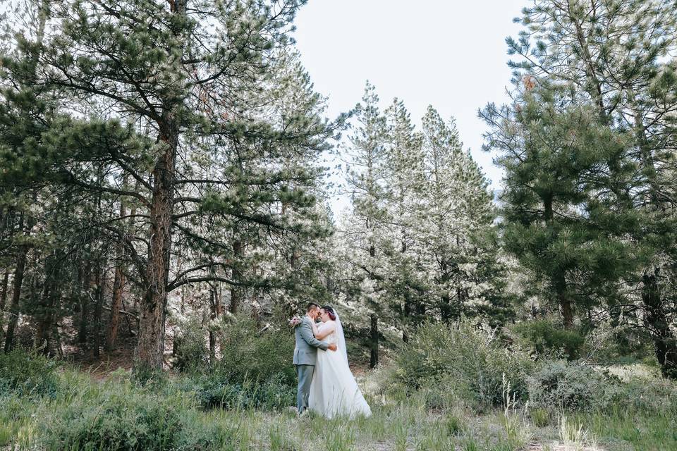 Mt. Charleston Elopement