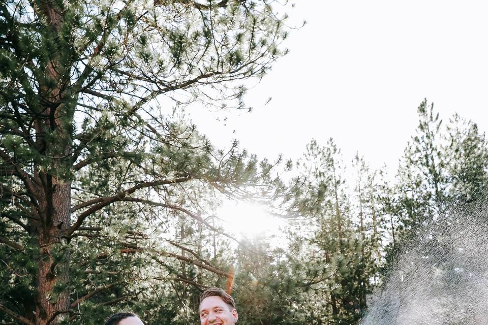 Mt. Charleston elopement